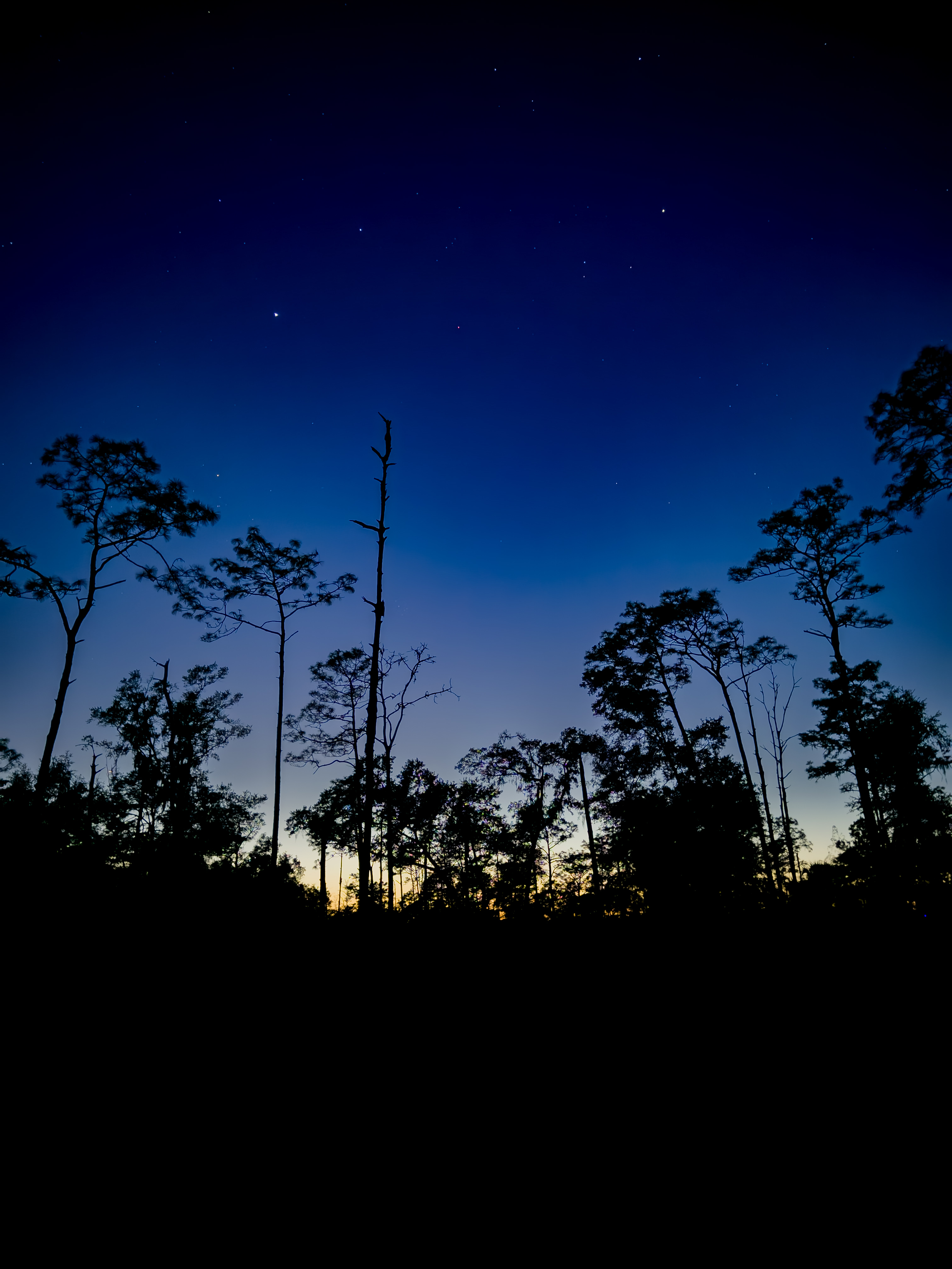 dusk